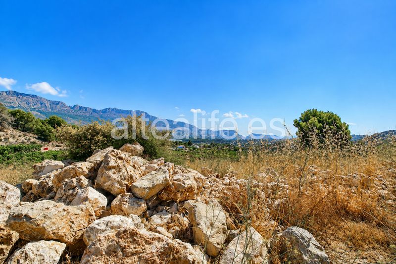 Foto 531ee6f0-210d-4a06-8154-1f445c376152. Finca rústica a Altea ciudad Altea