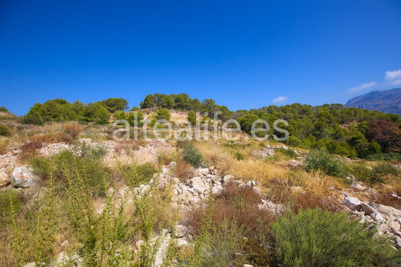 Foto 79d56b36-9864-4a9d-acfe-e9222ded2eb1. Finca rústica a Altea ciudad Altea