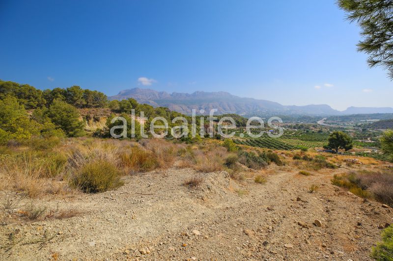 Foto 86f6348d-70f3-432d-b174-3832b3ac3d3d. Finca rústica a Altea ciudad Altea