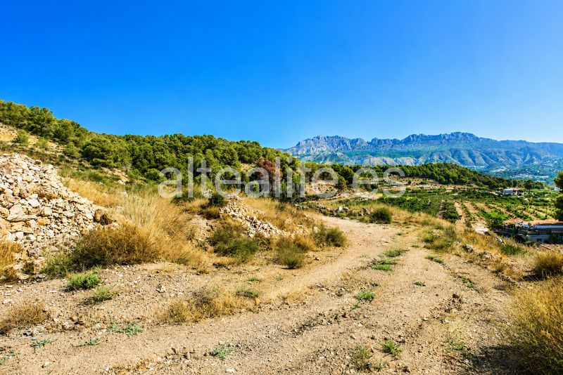 Foto c509b1a7-3945-4581-b4b5-56e180286f25. Finca rústica a Altea ciudad Altea