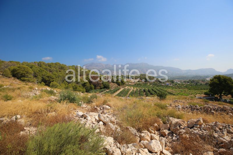 Foto f2bf2cd9-16a3-4a76-b476-5785982d3087. Finca rústica a Altea ciudad Altea