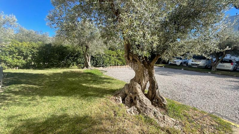 Foto f2b8dcd3-ba1d-4dc0-98e6-8c59d3402c07. Appartement in carrer londres in Els Grecs-Mas Oliva Roses