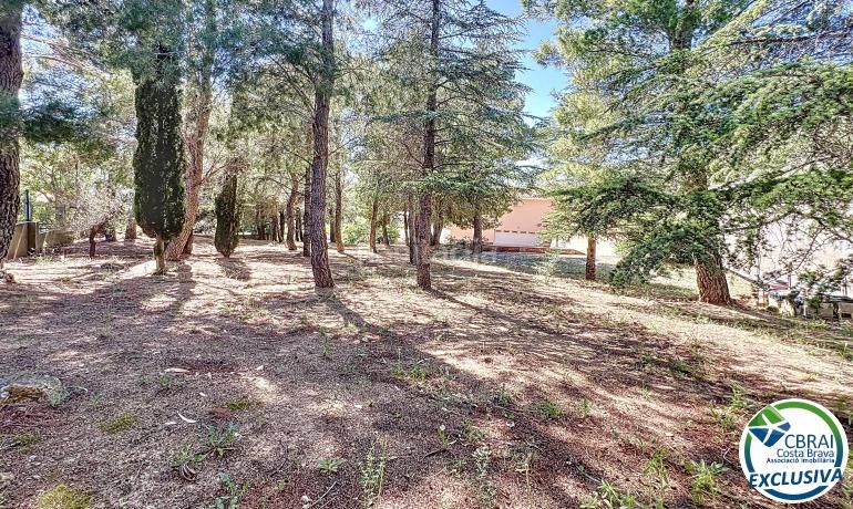 Foto 6e9fa5e0-828b-4a28-bf8d-db0d1e9972bd. Casa en calle xaloc - els olivars 8 8 casa en venta girona en Pau