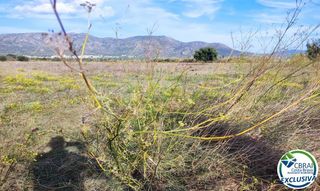 Residential Plot in Carretera vilamacolum 0 0. Terreno en venta en torroella de fluvia girona