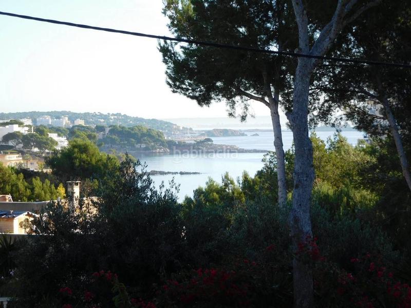 Foto c5210848-2114-4141-b627-a4049942b391. Terreno residencial solar edificable de 1295m2 en llano con poca pendiente,desde la segunda planta de la posible edificacion vistas al mar. en Calvià