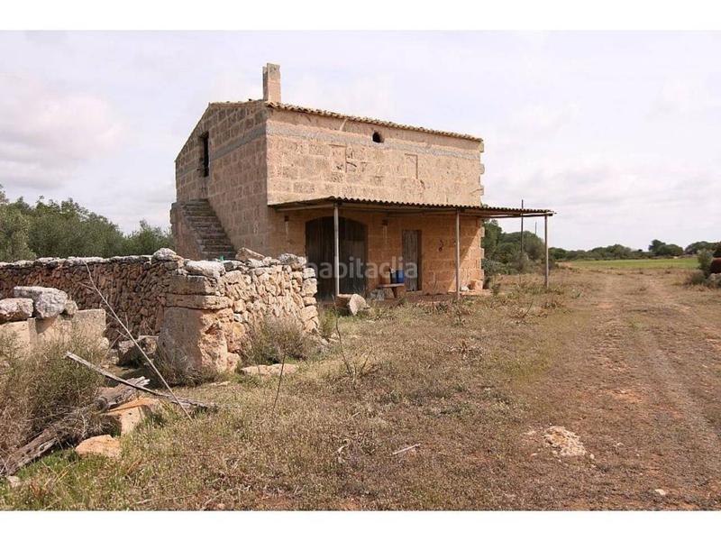Foto 08b0c22a-e6aa-4129-aee9-9b52da2ebc01. Finca rústica a Cala Pi-Vallgornera Llucmajor