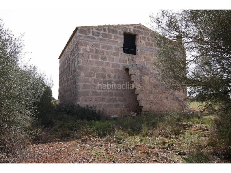 Foto 74d0df03-5988-4ffd-9761-5c82a7ed781c. Finca rústica a Cala Pi-Vallgornera Llucmajor