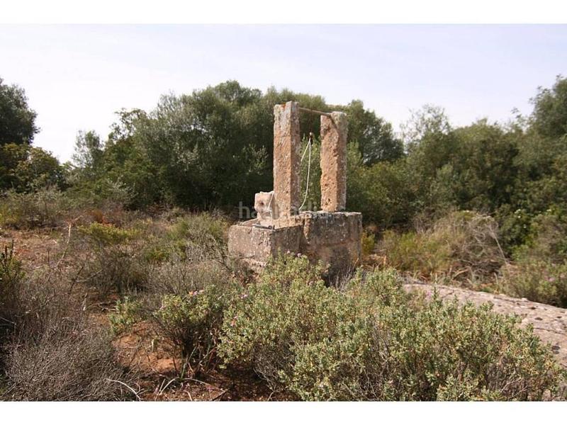 Foto a26ae00e-b548-456e-b563-3045f52afea7. Finca rústica a Cala Pi-Vallgornera Llucmajor