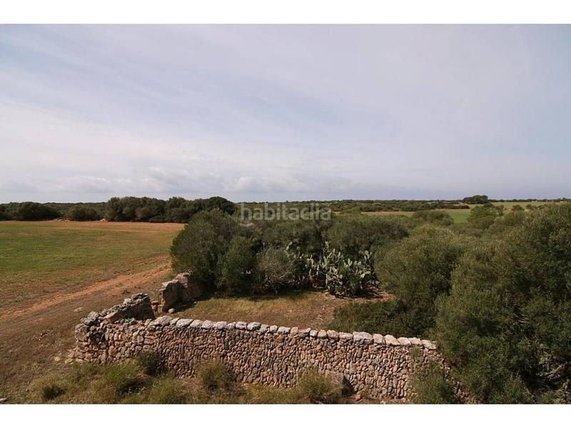 Foto a2bc3ed2-2a05-43f4-a88d-038ac9e3257f. Finca rústica a Cala Pi-Vallgornera Llucmajor