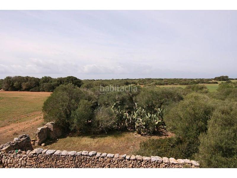 Foto a83cef2f-14ab-4b6a-bb64-772c07e30af6. Finca rústica a Cala Pi-Vallgornera Llucmajor