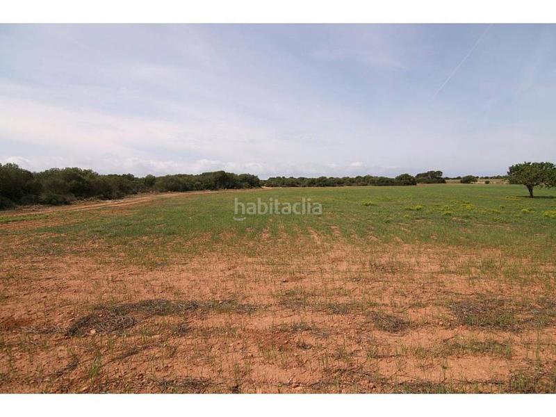 Foto c554e423-05c3-415b-bd10-844ab0c5546a. Finca rústica a Cala Pi-Vallgornera Llucmajor