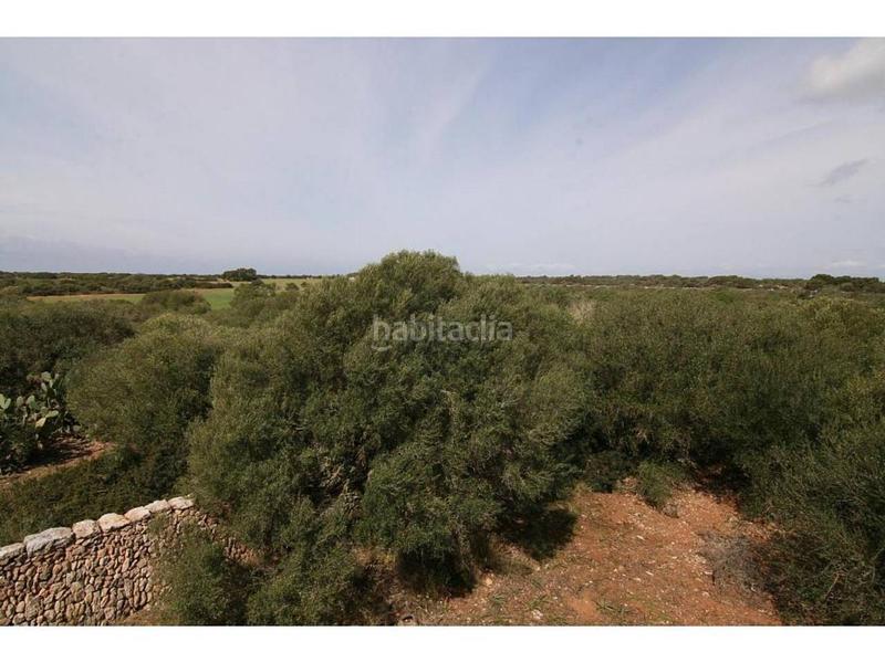 Foto f6143cd9-d7c0-4439-9a97-ed2ac4901ebd. Finca rústica a Cala Pi-Vallgornera Llucmajor