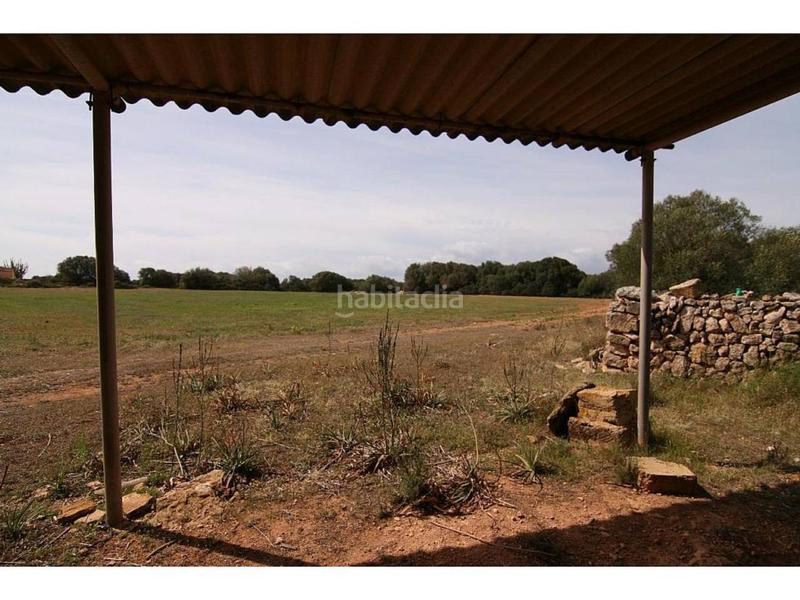 Foto faef3708-dcd1-4b93-8c7c-d006b4666742. Finca rústica a Cala Pi-Vallgornera Llucmajor
