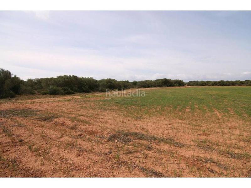 Foto ff253949-f8da-44a8-bb62-0164ae47184f. Finca rústica a Cala Pi-Vallgornera Llucmajor