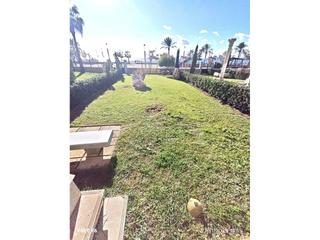 Location Appartement  Isla de xipre. Planta baja con jardín en primera línea