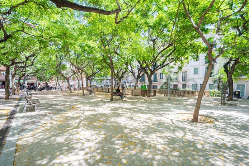 Foto 4678b0a2-aced-4ab9-b44a-860cd07bc3f5. Àtic a Dreta de l´Eixample Barcelona