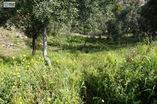 Wohngrundstück in Cabrils. Terreno de 760m2 en urbanización muy cercana al centro del puebl