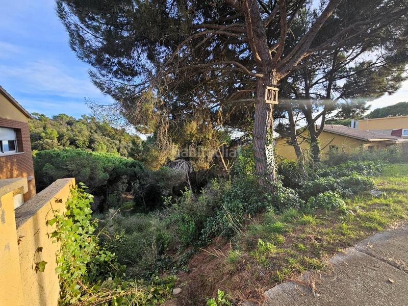 Foto 100463e7-7113-440c-a362-87ceff9d5bbe. Terreno residenziale in Ametlla del Vallès (L´)