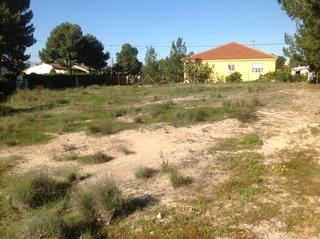 Residential Plot in Los Conejos. Venta de parcela edificable  en molina    en urb.los conejos