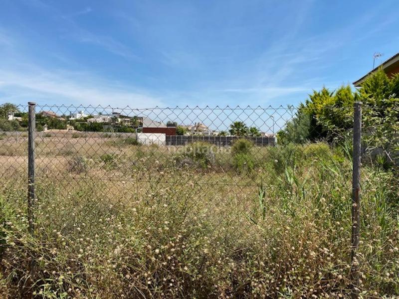 Foto b3ee1d77-5929-46d0-a5f3-796045eba33c. Residential plot in Guadalupe Murcia