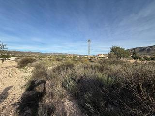 Fondo rustico in Abanilla. Venta  de terreno en barinas abanilla