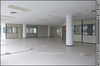 Office space in frederic mompou