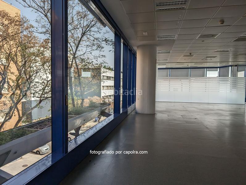 Foto 7f34d5a7-c971-4824-b024-7b1d211e6560. Bureau dans dels vents 9 dans Montigalà Badalona