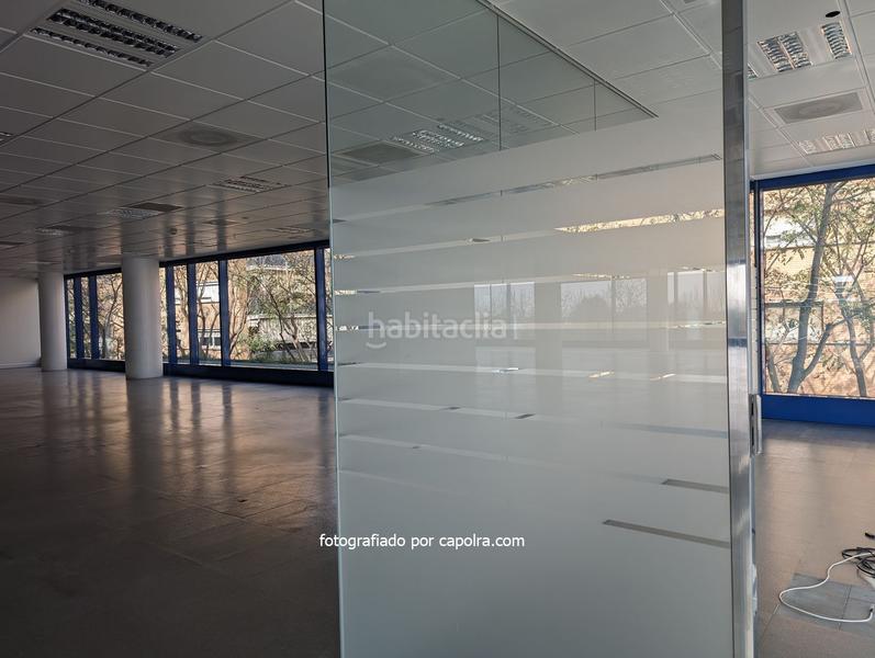 Foto 899065c6-2c34-4a44-a2eb-386722415a4d. Bureau dans dels vents 9 dans Montigalà Badalona