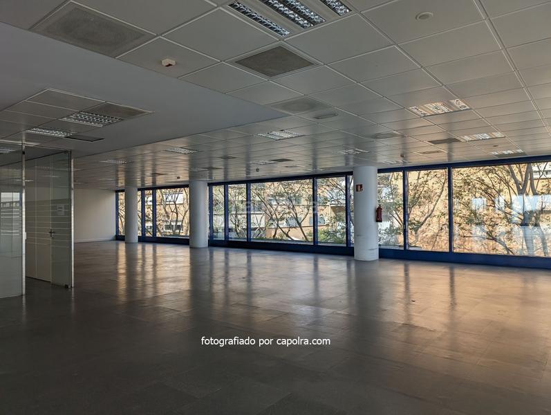 Foto ddd6dcb3-78fd-41f0-a985-2ee5d50e28d6. Bureau dans dels vents 9 dans Montigalà Badalona