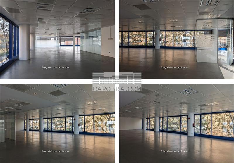 Foto fe9e01c2-a3f4-4da7-a0a7-288e3d36a65e. Bureau dans dels vents 9 dans Montigalà Badalona