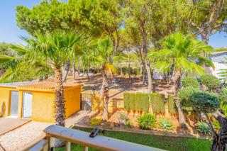 Xalet  Herm el. Oportunidad única! 7.000 m entre palma de gandia y rótova