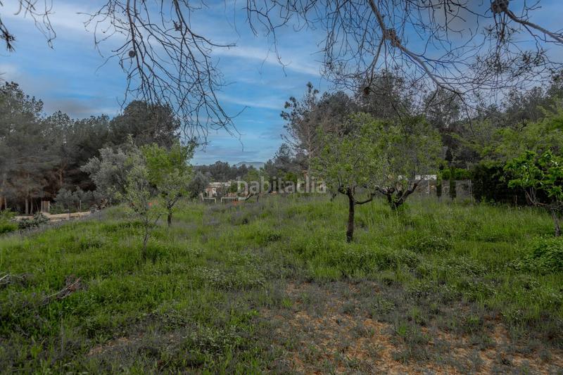 Foto f91e8daf-768f-4f98-a759-db0935085d64. Masia a Jérica