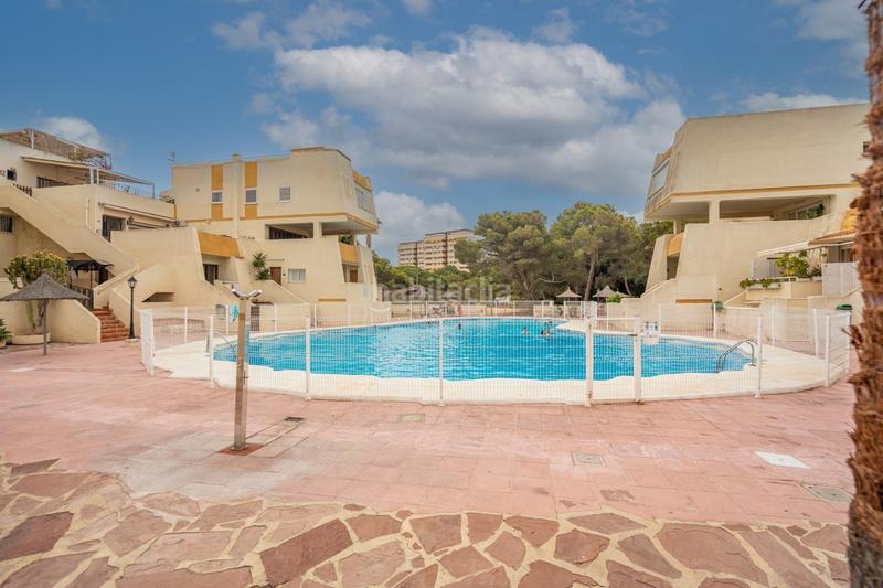 Foto 2d6cafd4-e208-4557-877c-c8899de1d90c. Apartamento descubre tu oasis en El Saler, ! en El Saler Valencia
