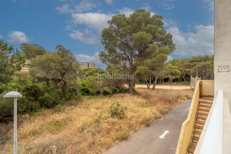 Foto 754f9114-8e3a-46c9-b291-f9dff2dbdfd0. Apartamento descubre tu oasis en El Saler, ! en El Saler Valencia