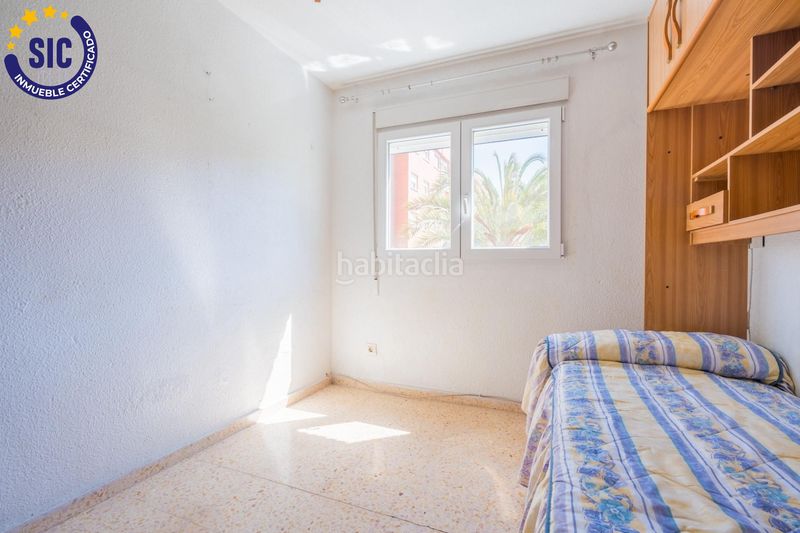 Foto 54b0e444-59d4-4f77-a1b1-8308d511af21. Pis a Malva Rosa Valencia