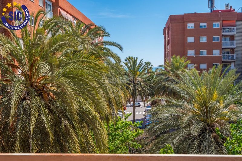 Foto 5972768b-cce0-49ea-a841-dadf7102f428. Pis a Malva Rosa Valencia
