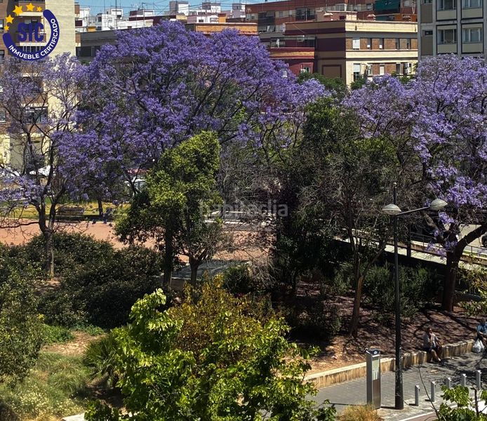 Foto f5e5ac0b-4ef8-4e8c-a059-65ec405c084f. Pis a Aiora Valencia