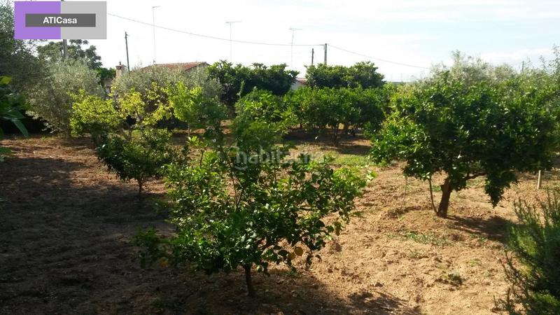 Foto d6414084-0b9b-4cfa-a5af-86233a8a9a83. Terrain résidentiel dans Godelleta