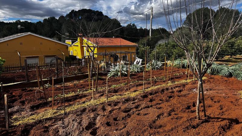 Foto 1723f21c-aa6f-4a9f-a66a-ceb21b40a3a9. Finca rústica a Simat de la Valldigna