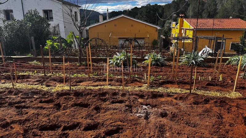 Foto dde41e32-b3ec-4faf-8339-86496be3895d. Finca rústica a Simat de la Valldigna