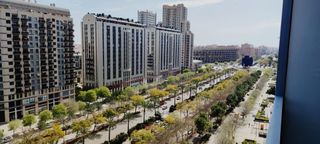 Pis a Avenida corts valencianes
