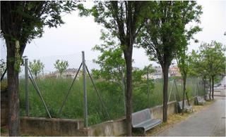Terreno residencial  De ponent. Oportunidad única de inversión ideal para construir tu proyecto