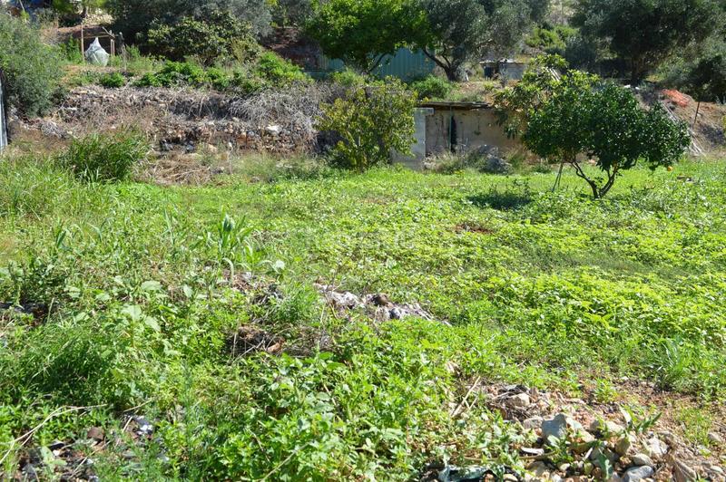 Foto 0a3a6735-61f5-42cd-bf68-8c7ae951e8cb. Terreny residencial a Puig Moltó - Can Macià Sant Pere de Ribes