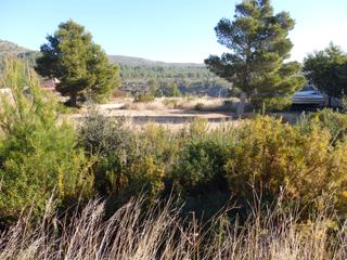 Terreny residencial a Avinguda pratdip 13