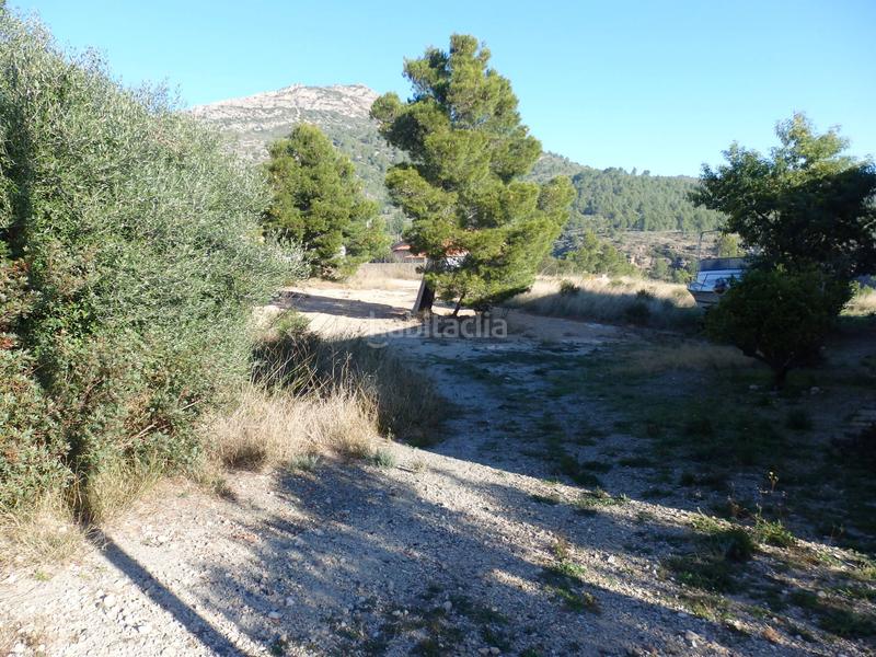 Foto f72ac8e8-a677-4c9f-a79d-1d5faf1c762f. Terreny residencial a avinguda Pratdip 13 a Pratdip