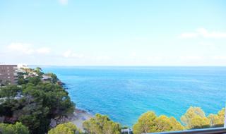 Piccolo appartamento in Passeig maritim 162. Apartamento con fantasticas vistas en primera linea de mar.