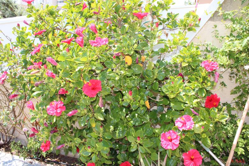 Foto d2ad3985-2d56-4417-ad8d-a5c6364c76db. Ground floor with heating in Cunidor Cunit