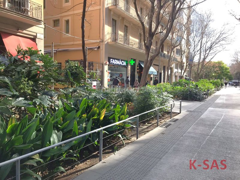 Foto 223caed8-d62f-489c-9ffb-84401f87a536. Àtic a Sant Antoni Barcelona