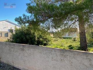 Terreny residencial  N/a. Parcela totalmente plana para construir un chalet a su medida