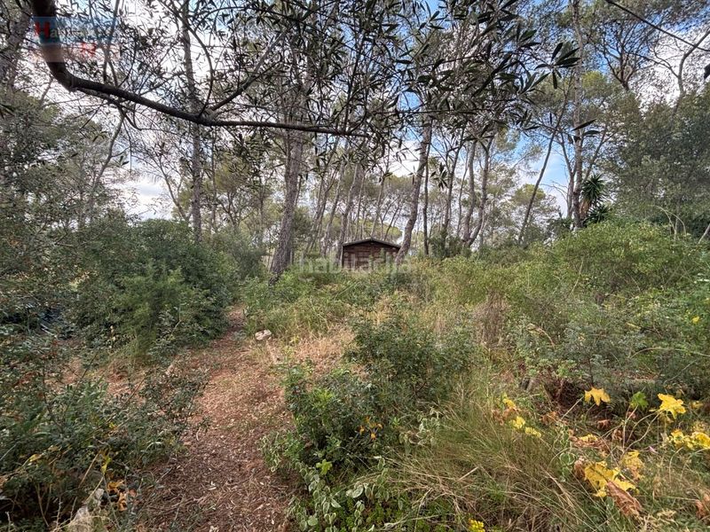 Foto 7940d940-c020-4a55-9f14-191754a11f63. Chalet con parcheggio in Bisbal del Penedès (La)